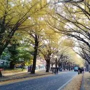 ゆーの画像