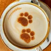 Cocoamilkの画像