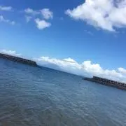 がるの画像