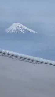 てぃにぴりの画像
