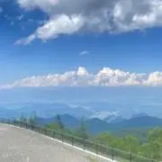チェチェの画像