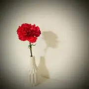 m_ma-i