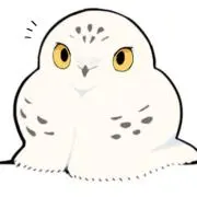 リブの画像