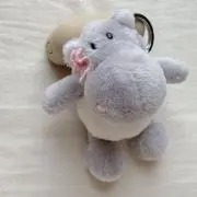 うぽの画像