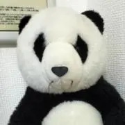 ぱんだ母の画像