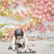 楓ちゃん