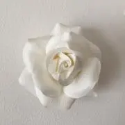 たか