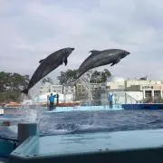 ☆HAPPY☆の画像