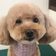 まりりん