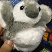 くん