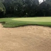 きんにくんの画像