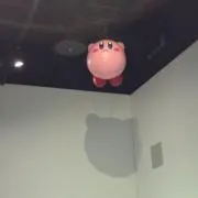 ミョウガの画像