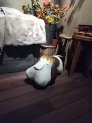 ナナ