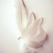 banayuuの画像