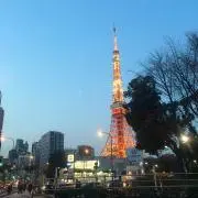 Red Carpetの画像
