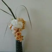 たこちゃん