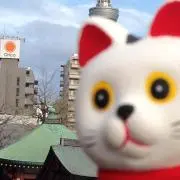 さくらんぼの画像