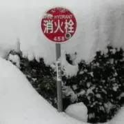 ながの画像