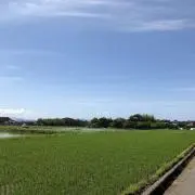 本庄雷太展 FGO 酒呑童子 カードスリーブ 65枚入り - メルカリ