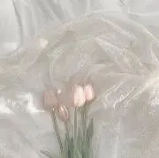 moの画像