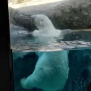 Akikoの画像