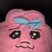 うさぎの画像