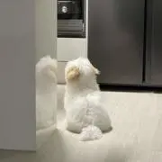 hanaの画像