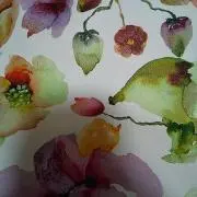 anzyuの画像