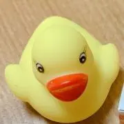ここまの画像