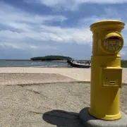 とらまるʕ•ᴥ•ʔの画像