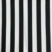 にゃすの画像