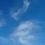ONE断捨離中•*¨*•.¸¸☆*・゜