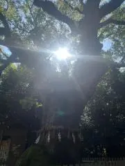 Healing Japanの画像