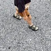 a.