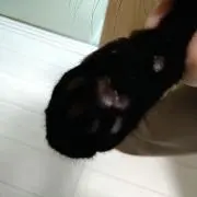 Ｒｙｏｕｔａの画像