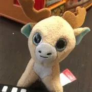 Yuji 購入時プロフィールを要確認の画像