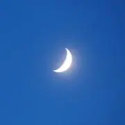 Amiの画像