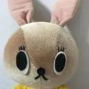 ＊セバスチャン＊の画像