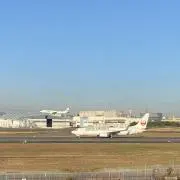 Tの画像