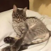 an