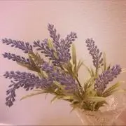 Lavenderの画像