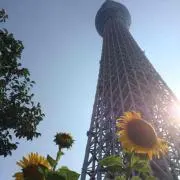 あにゃ☆