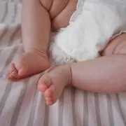 nomimaruの画像