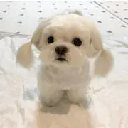 れもっちの画像
