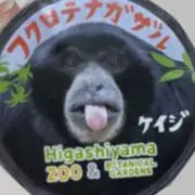 まとめ売りでお値下げします☺︎の画像
