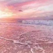 MIMIの画像