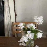 すの画像