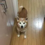みのる