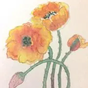sakura☆の画像