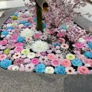 keiiiの画像